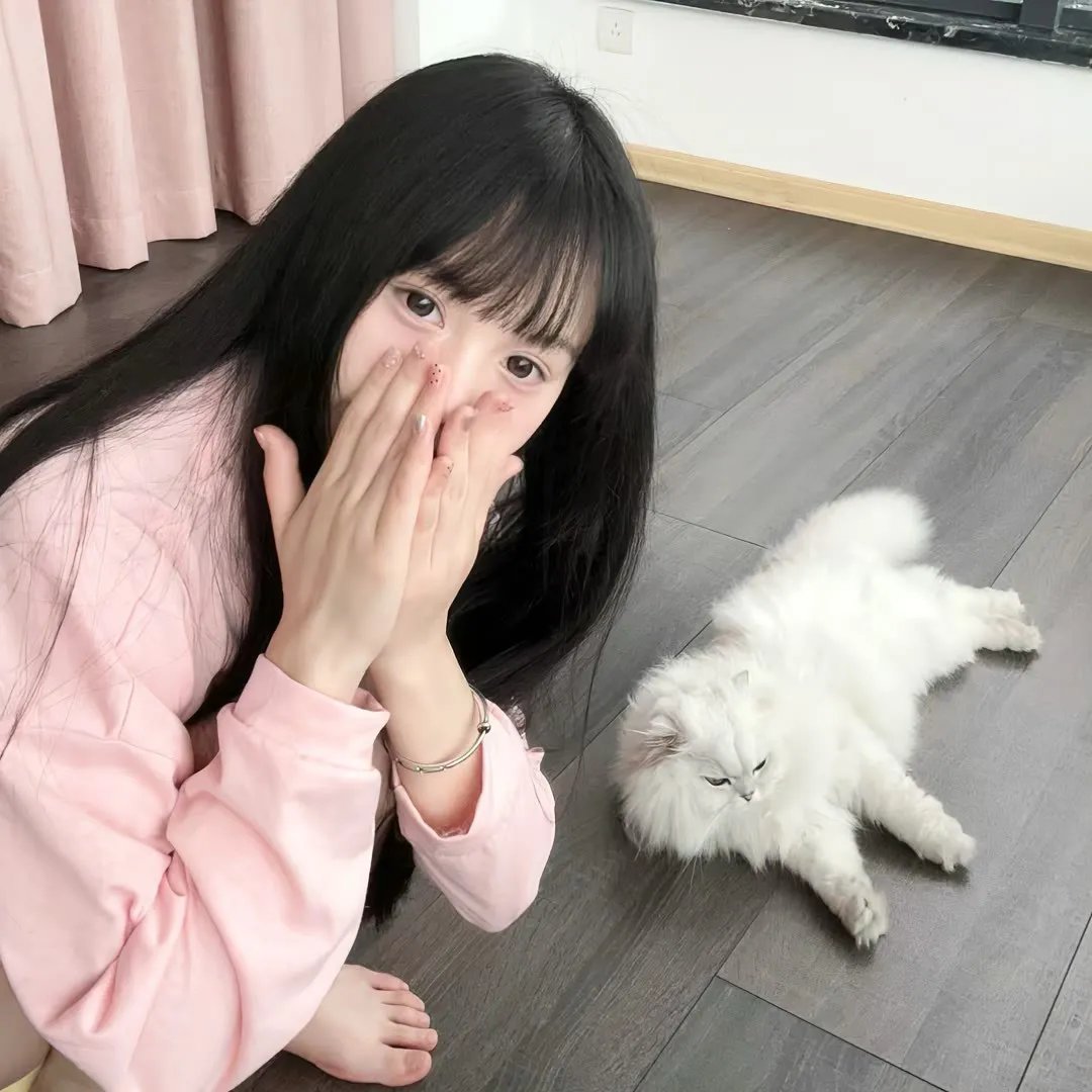 岳父受死吧